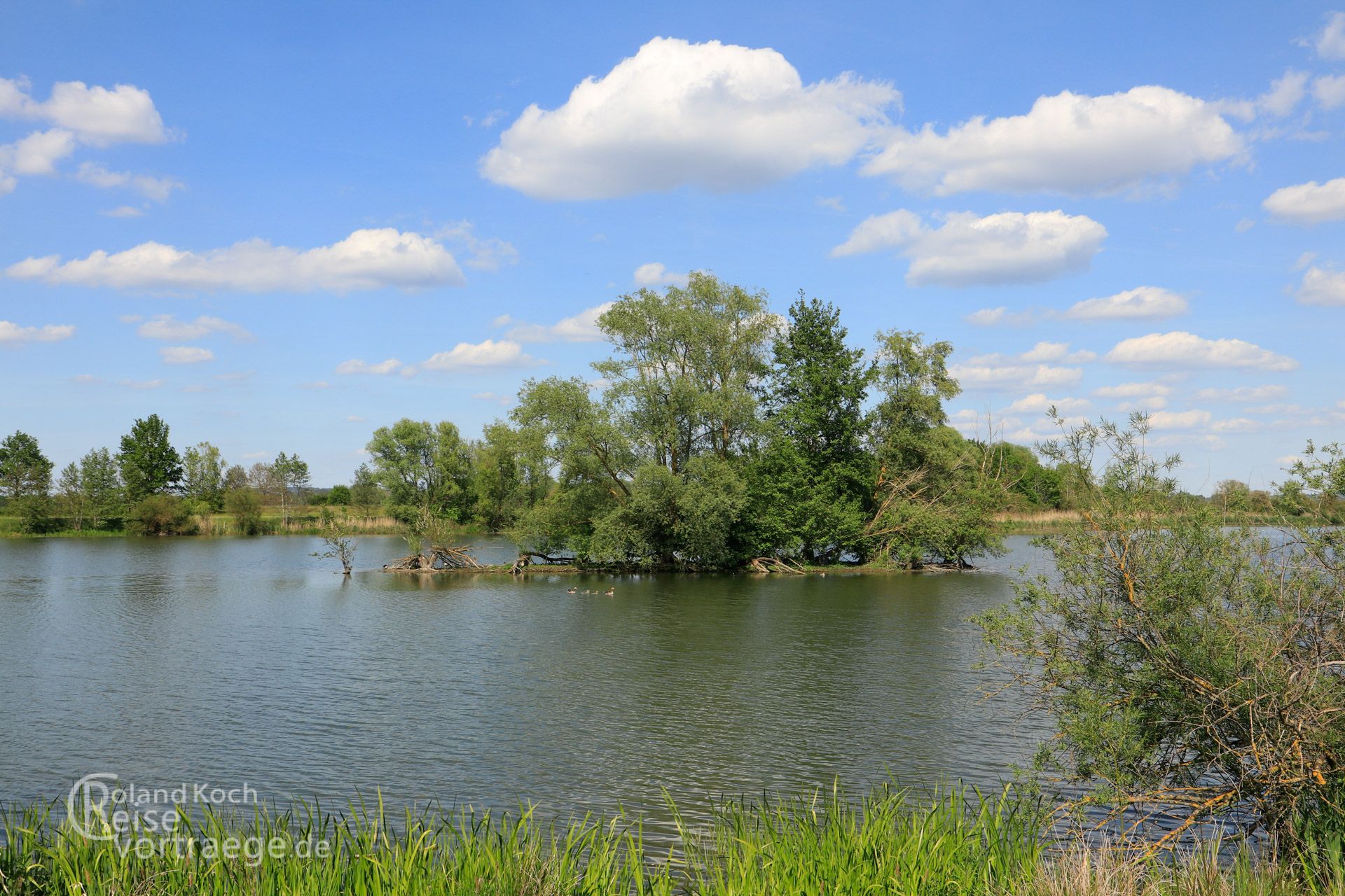 Altmühlsee Vogelreservat